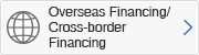 Overseas Financing/Cross-border Financing